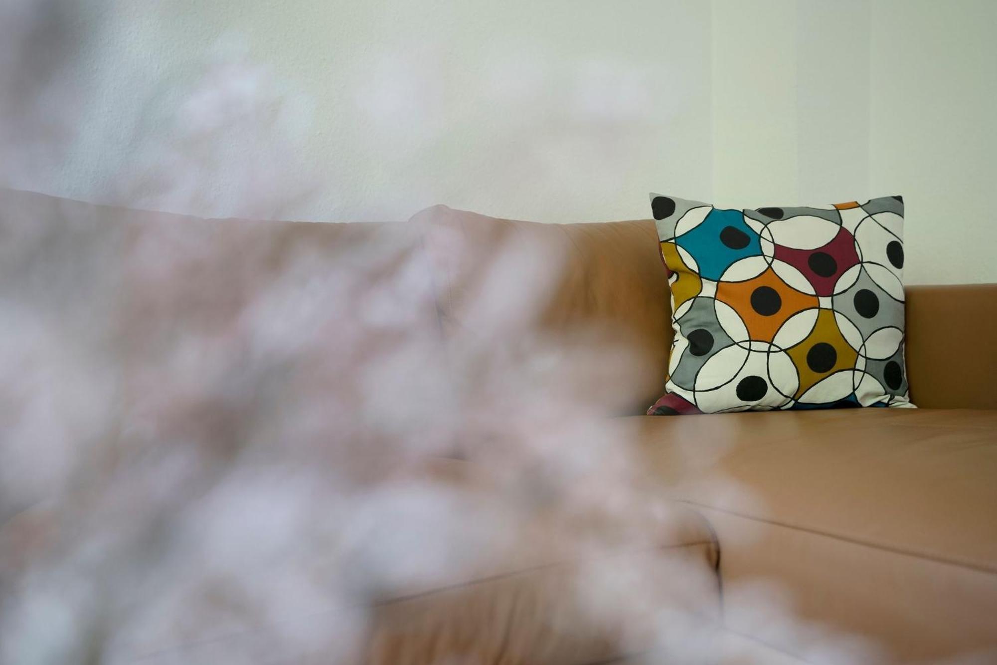 Residenz Am Kurpark- Wohnung 5 格洛米茨 外观 照片